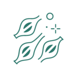 Icona del servizio veterinario di Chirurgia dei Tessuti Molli Interno della Clinica Veterinaria Feltrina