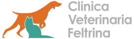 Logo Orizzontale a colori della Clinica Veterinaria Feltrina