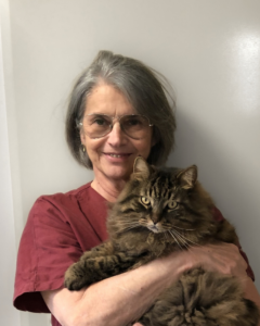 Laura Bertazzoli Clinica Veterinaria Feltrina Laura Bertazzoli Clinica Veterinaria Feltrina