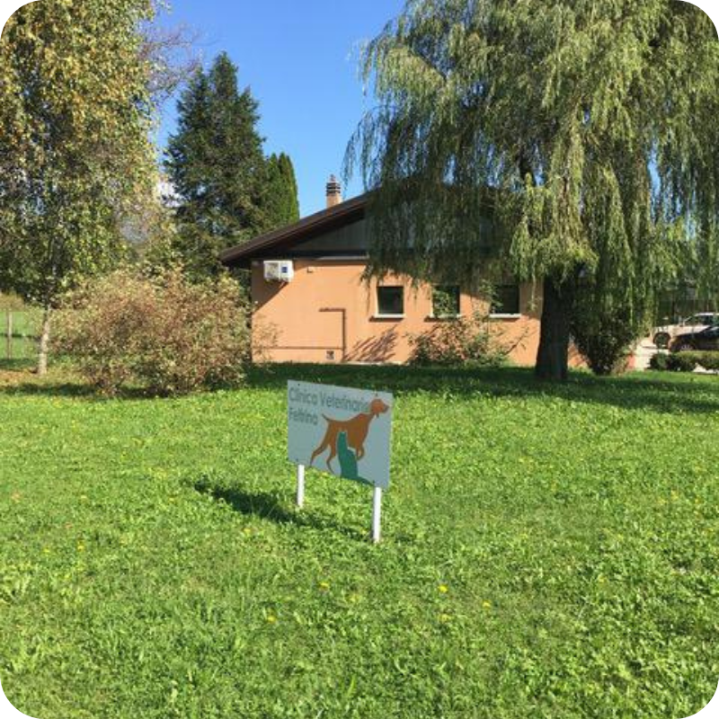 Esterno della Clinica Veterinaria Feltrina a Feltre, immersa nel verde e facilmente raggiungibile