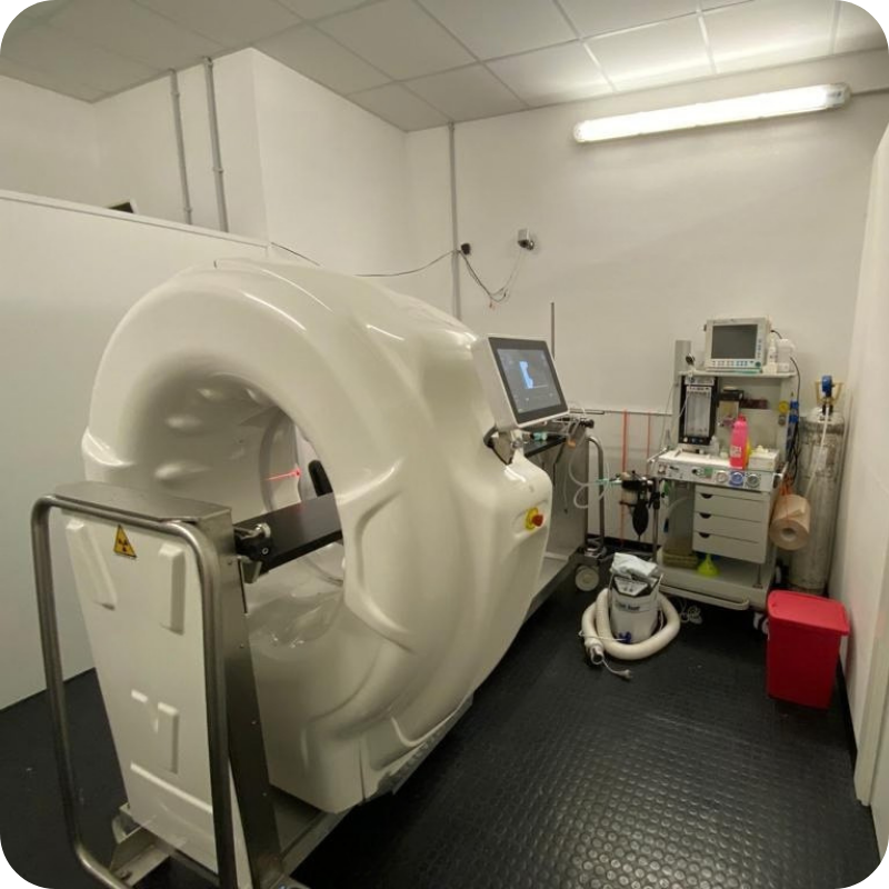 Risonanza Magnetica veterinaria per diagnosi avanzate presso la Clinica Veterinaria Feltrina