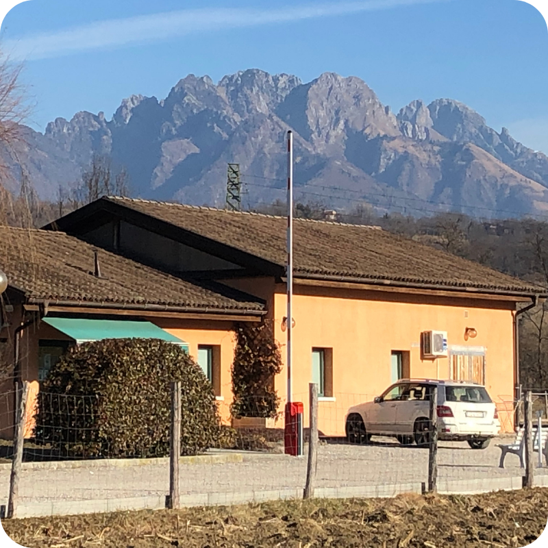 Sede della Clinica Veterinaria Feltrina con vista sulle montagne di Feltre